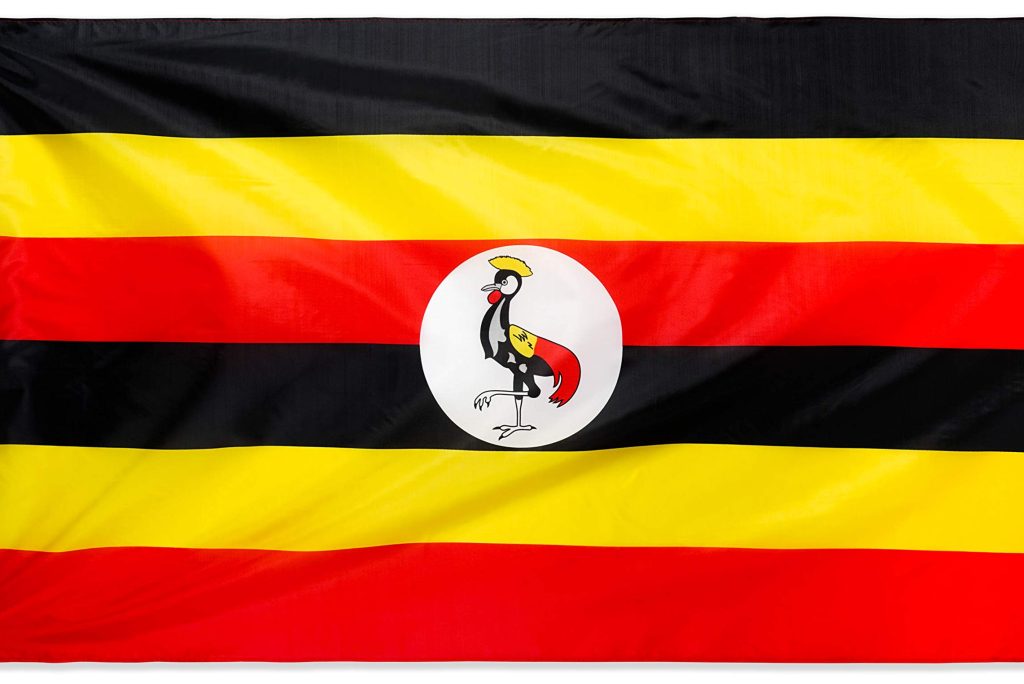 Uganda: The Pearl of Africa for Gorilla Trekking & Nile Rafting