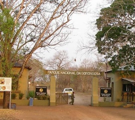 Gorongosa National Park