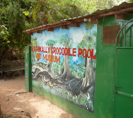 Kachikally Crocodile Pool