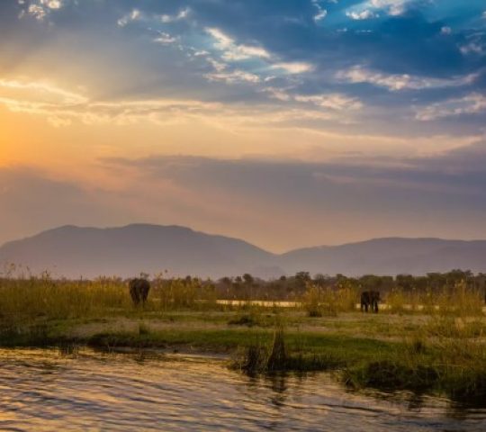 Lower Zambezi National Park