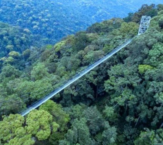 Nyungwe Forest National Park