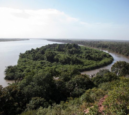 River Gambia National Park