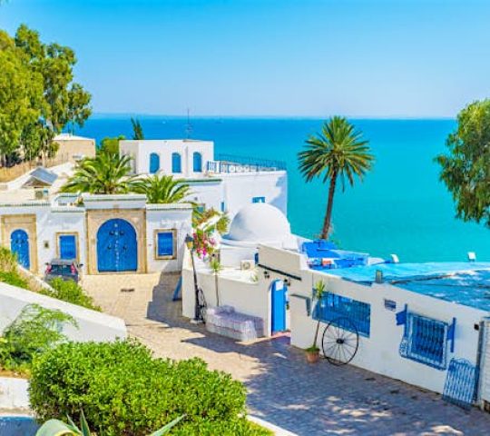 Sidi Bou Said